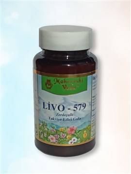 LİVO-579